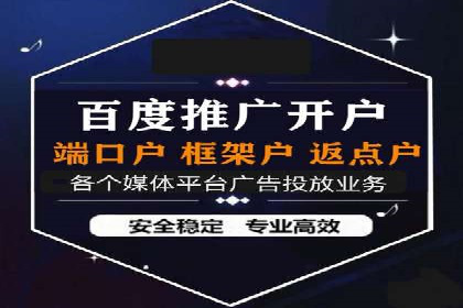 案例分析：百度竞价托管助力行业龙头